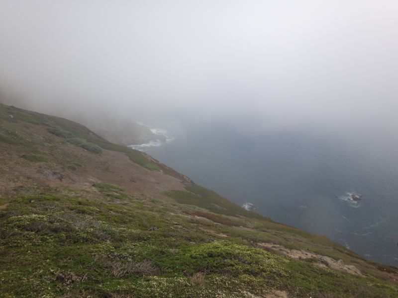 Point Reyes 